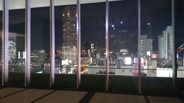 2015-08-18 19.16.27.jpg