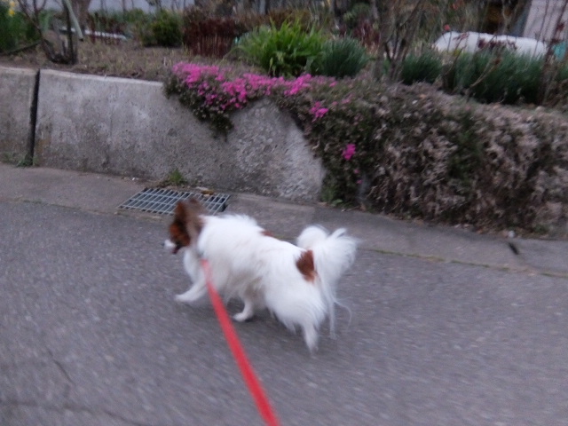 DSCF1046.JPG