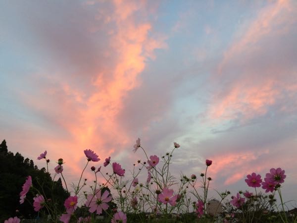 rblog-20150921055320-01.jpg