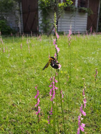20140706-3