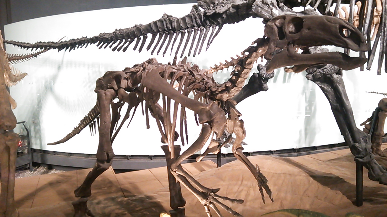 マンテリサウルス