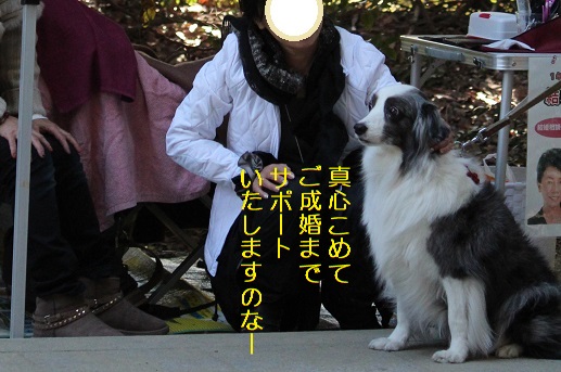 ご成婚