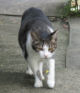 IMG_9840ss.jpg