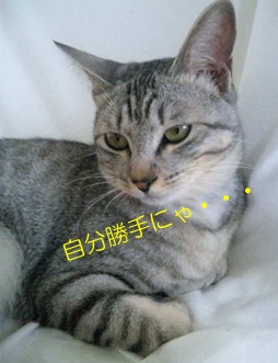 20120703_2.jpg