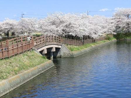 ヤチ公園