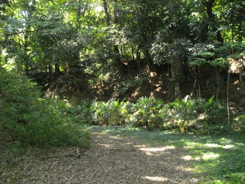 小山城三の丸空堀 (3) (500x375).jpg