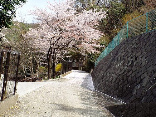 daizenji-102-b.jpg