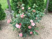 rblog-20130612094644-01.png