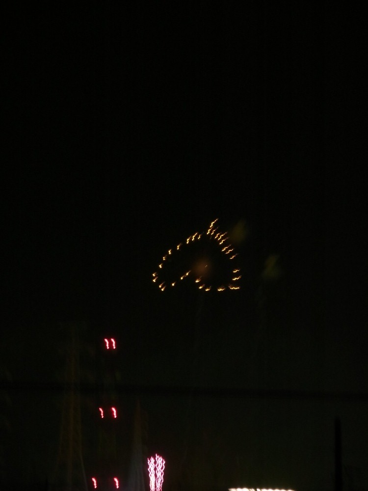 RIMG0063 (1000x750).jpg