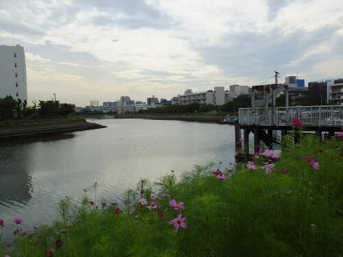 しながわ花海道