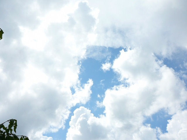 159.jpg