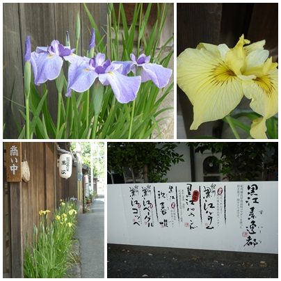 2014-6-8-ぬりもの館.jpg