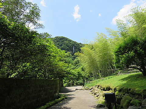 IMG_1299.jpg