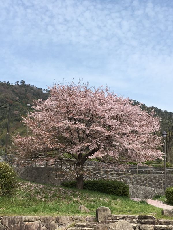 rblog-20160409171021-01.jpg