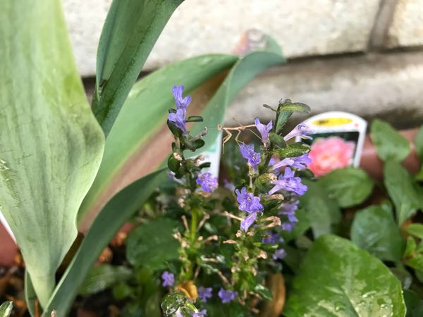 rblog-20180429182455-07.jpg