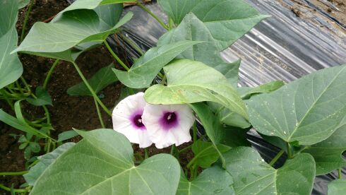 rblog-20140630131838-01.jpg