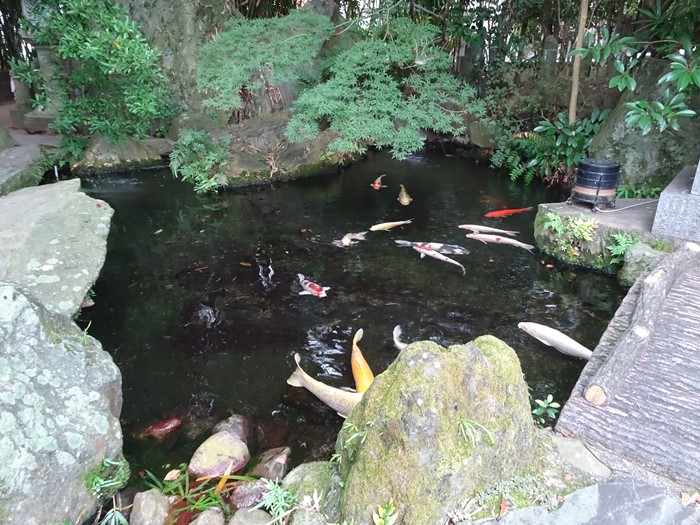DSC02045_R.JPG