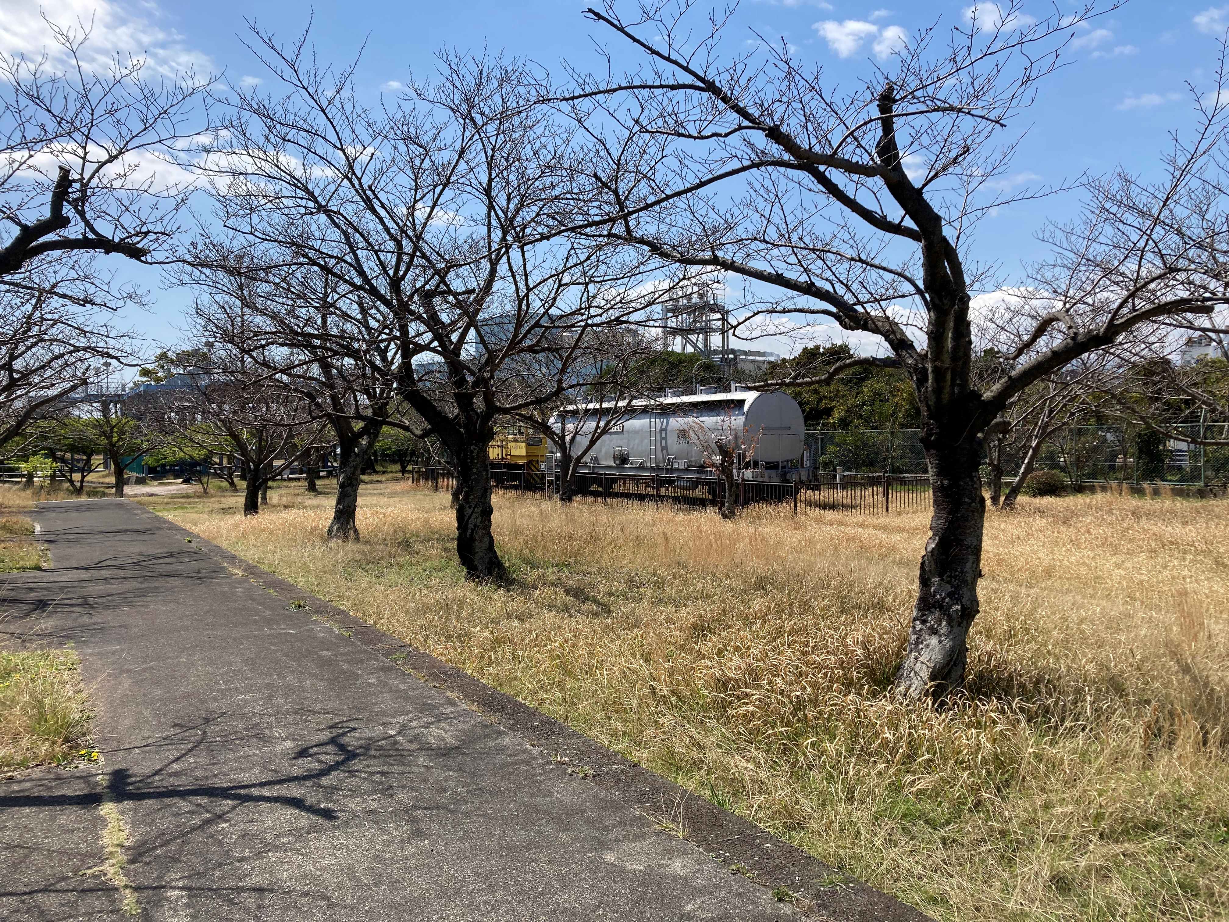 希少・廃線記録】 国鉄 清水港線（清水～三保） 白黒写真30枚セット 廃 【