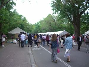 vcm_s_kf_repr_300x225.jpg