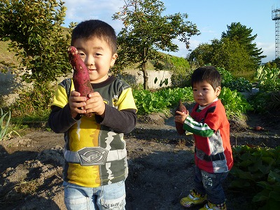 P1080146.jpg