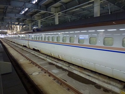 P1010039.jpg
