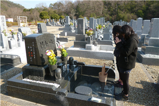 P1040540.png