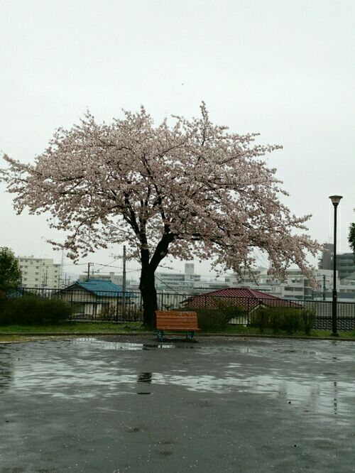 rblog-20160407173157-07.jpg