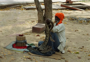 インド396.jpg
