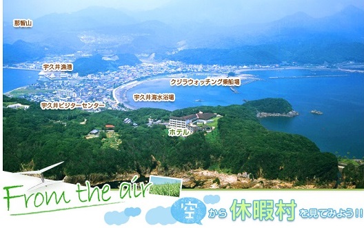 rikukeitou2