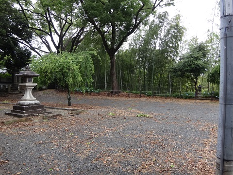 DSC09080.JPG
