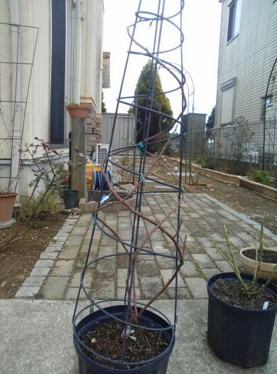 rblog-20140324231202-00.jpg