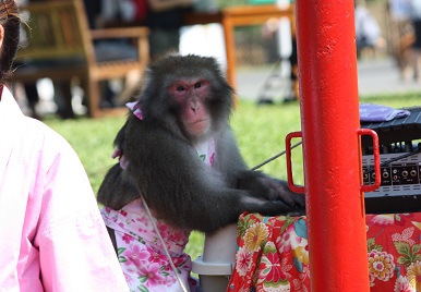さるまわし1.jpg