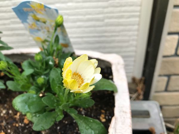 rblog-20180429182251-03.jpg