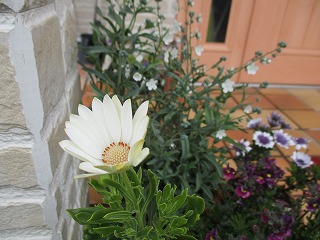 IMG_0069ss.jpg