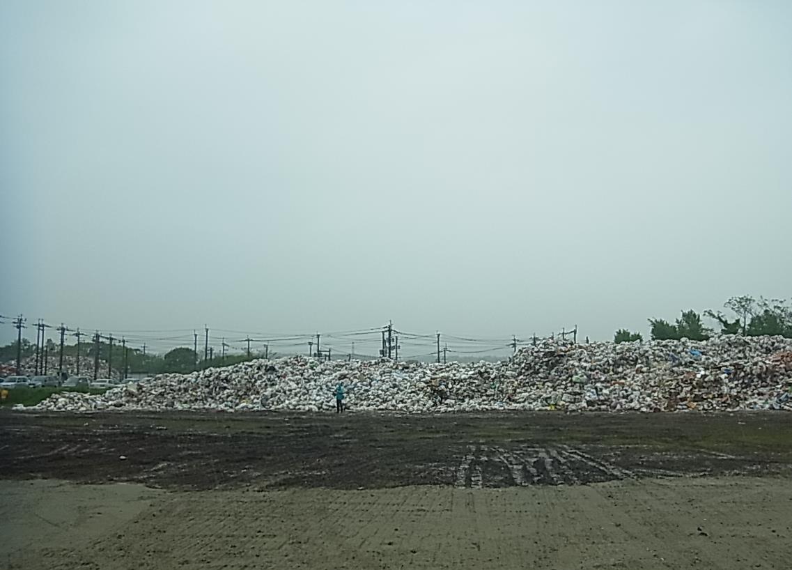RIMG0614.JPG