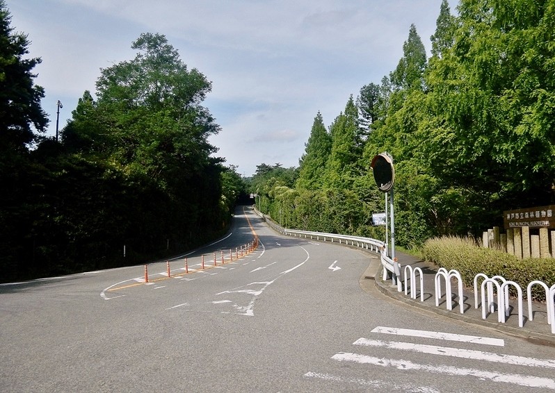 正門5.JPG