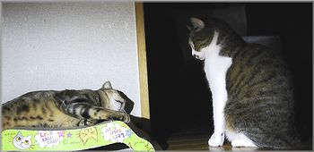 なんで？！