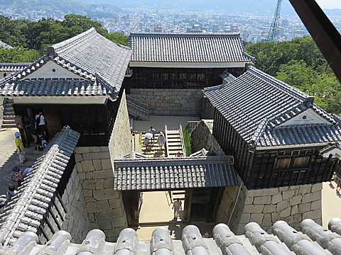 IMG_5804.jpg