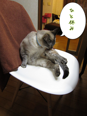 XU8R5T3DgPnSptc1366934619_1366934799.png