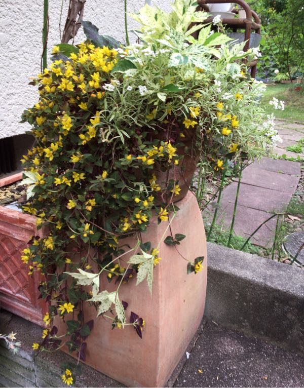 rblog-20170611193705-06.jpg