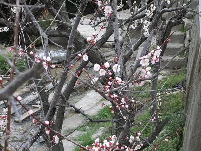 DSCF2831.jpg