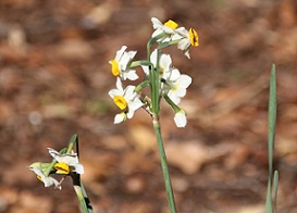 IMG_6293-1.jpg