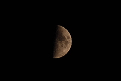 conv1477.JPG