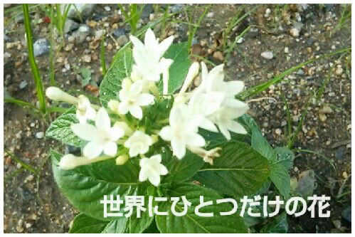 rblog-20160722221004-00.jpg