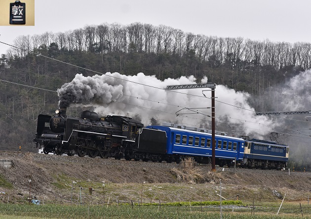 21 D810.JPG