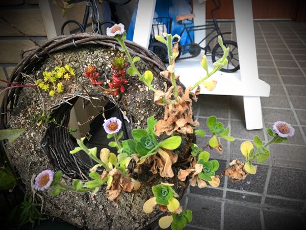 rblog-20161128165327-06.jpg