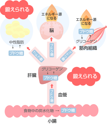 10ページ目の記事一覧 楽天無双次のブログ 楽天ブログ