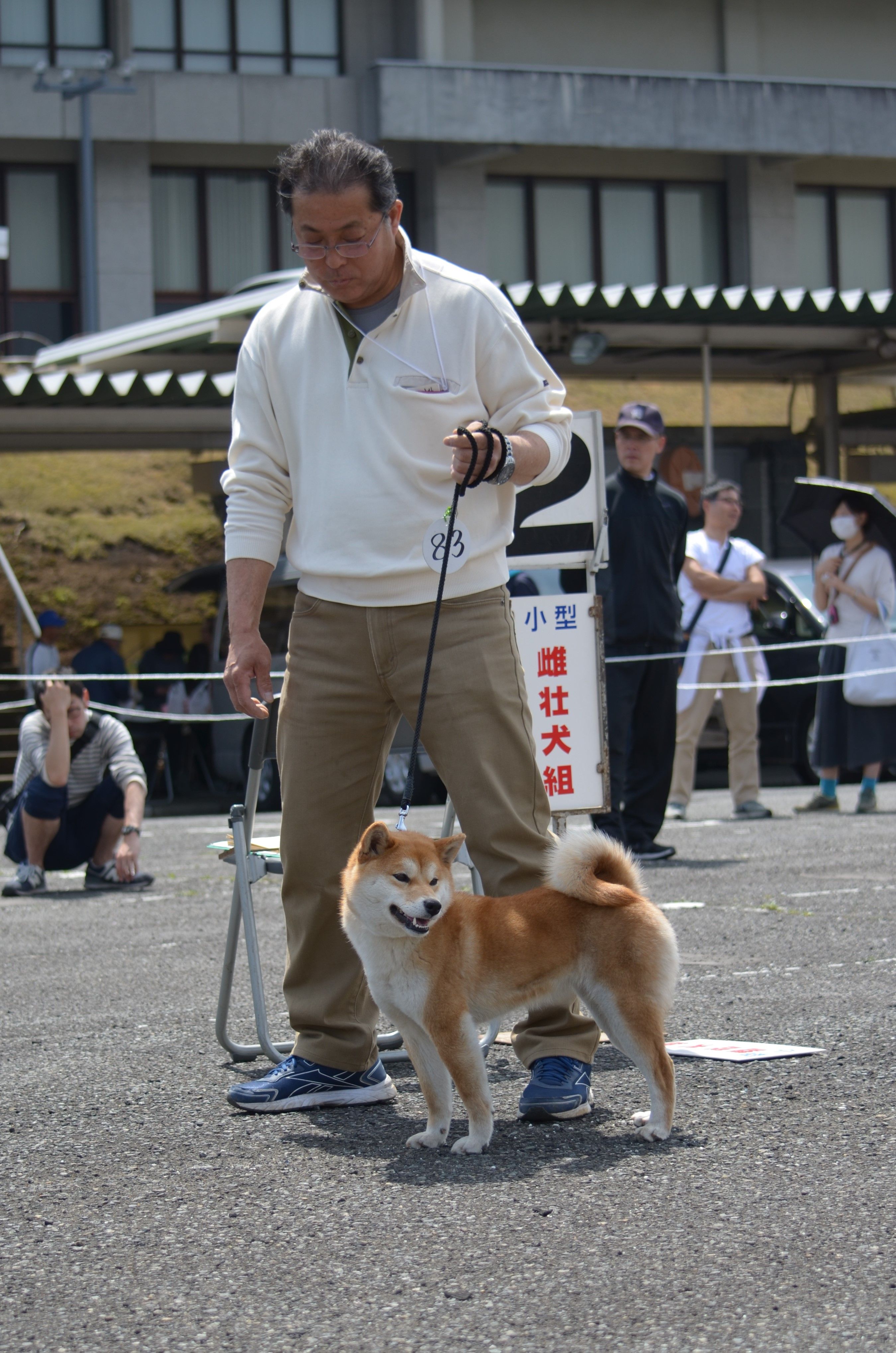 展覧会 の記事一覧 湘南鈴風荘 竜と 姫様 達の共同生活 楽天ブログ