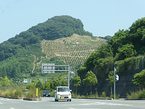 P1290465.jpg