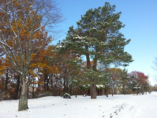 20151026_080617.jpg